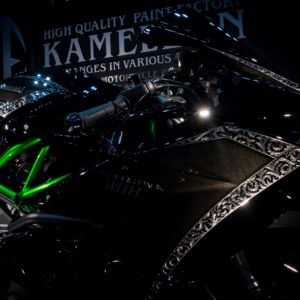 【3Dペイント PAINT】R.P.WITH　KAWASAKI Ninja H2【KAMELEON カメレオン】