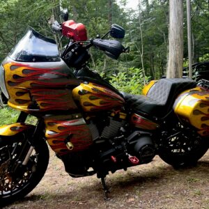 【カスタムペイント】HD-FXLRS【KAMELEON カメレオン】