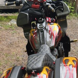 【カスタムペイント】HD-FXLRS【KAMELEON カメレオン】