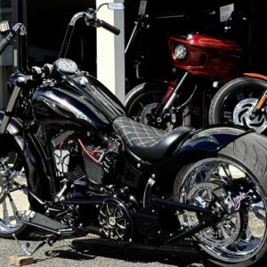 【3Dペイント PAINT】HD-FLSTF【KAMELEON カメレオン】