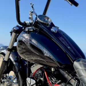 【3Dペイント PAINT】HD-FLSTF【KAMELEON カメレオン】