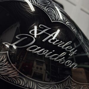 【3Dペイント PAINT】HD-FLSTF【KAMELEON カメレオン】